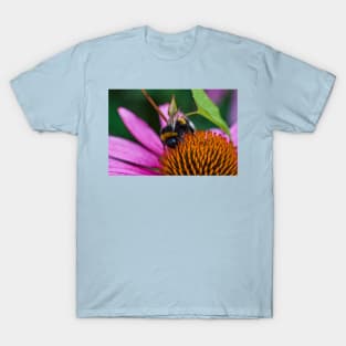 Bumble bee T-Shirt